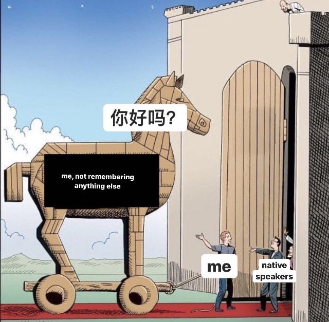 homework chinese meme